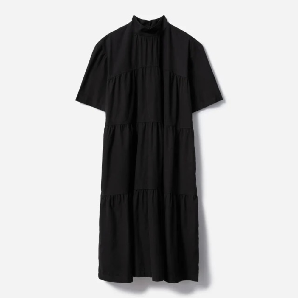 Everlane Tiered Mockneck Dress